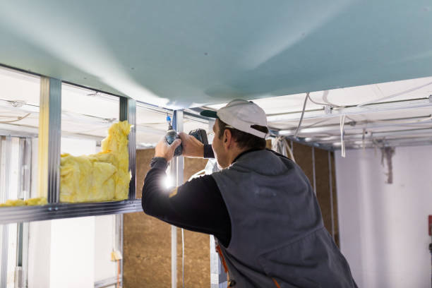 Best Affordable Insulation Services  in Sun City Center, FL
